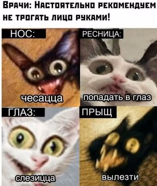 3e99685d660f98b4758e0dca43653e50.avif