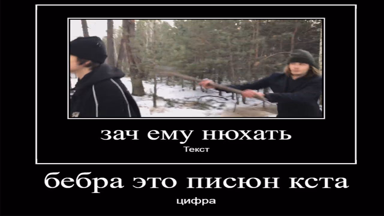 3e9e0d954cdb046b7a61a7fdbf503a4f.jpg