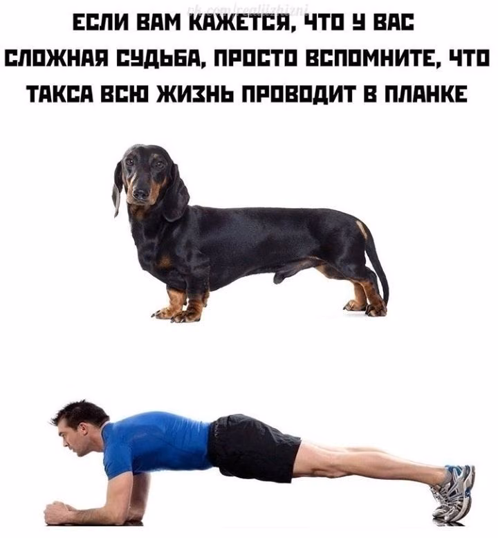 3e9e86708456c26fe9893fedbab94a3d.avif