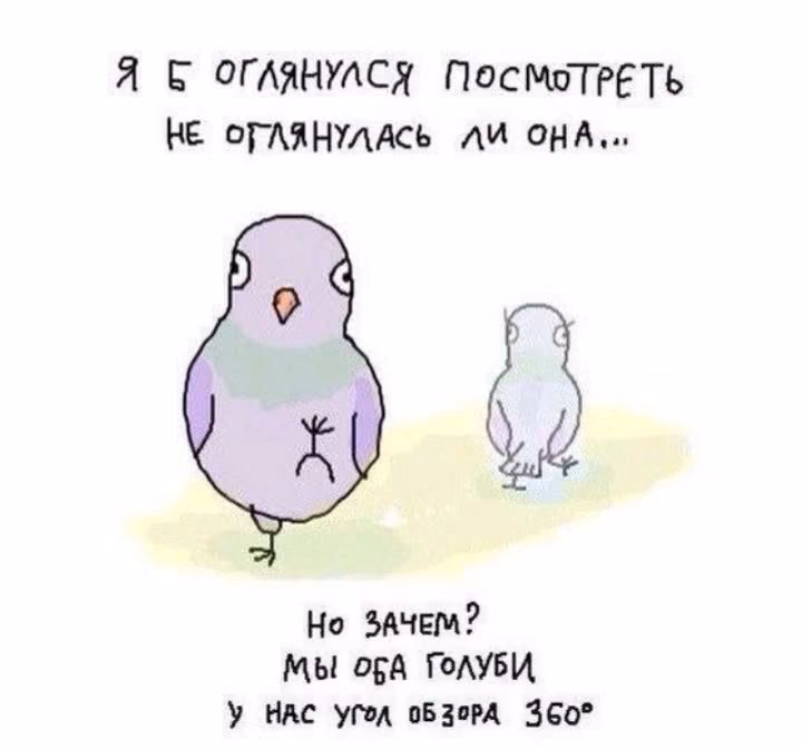 3eadebfdf93ea8e51cf343bcd82c206a.avif