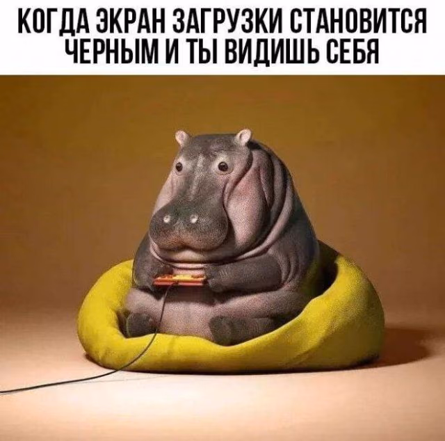 3ebf9f1a153e57d63cd90edf91e83969.avif