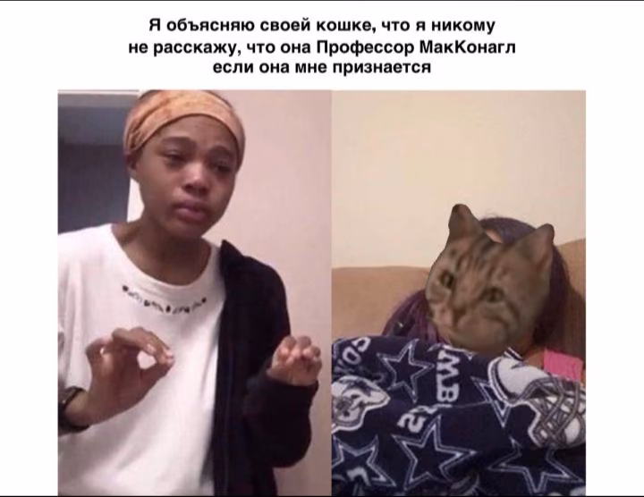 3ec0dd39fcf10464ab2662a99e08771f.avif