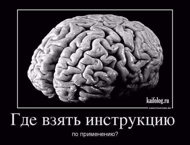 3ecf3ccd010b35e435f2aa939fe110b1.avif