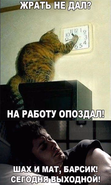 3ecf5c3b3aa659510288ca1b9d43e567.avif