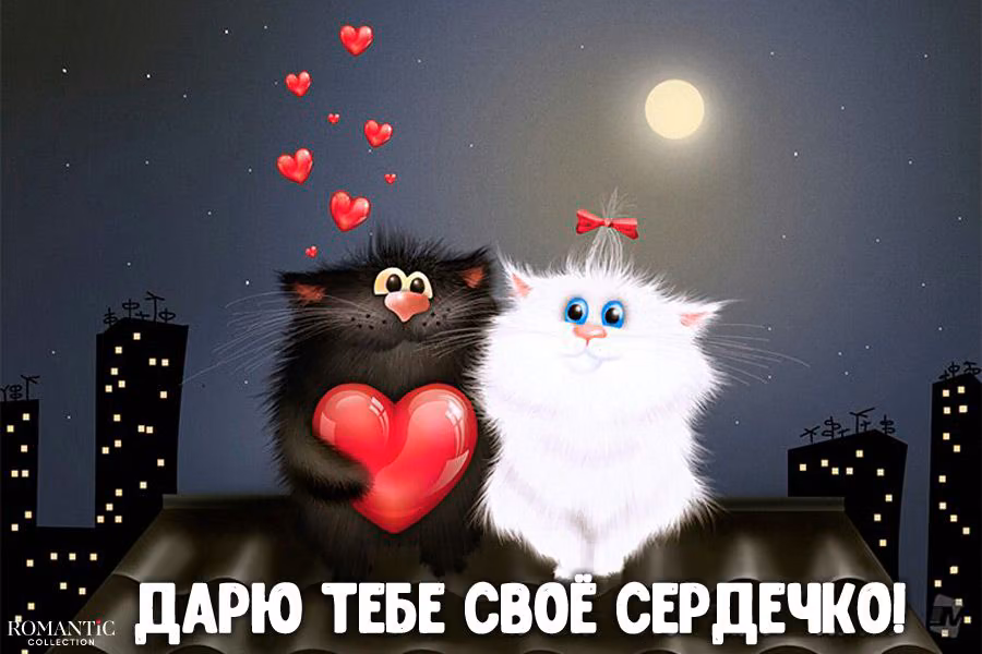 3ee4458f09e657948d157db7512888d1.avif