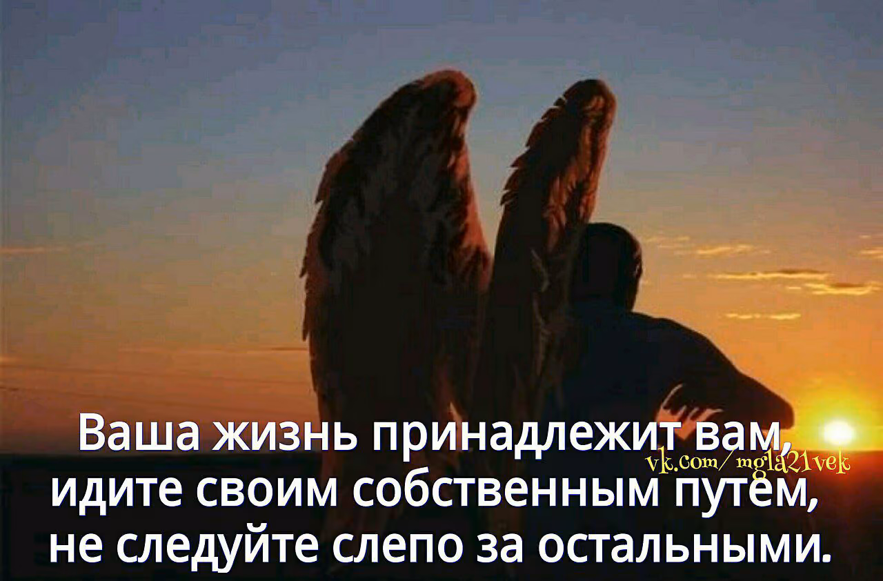 3eff56a7dfe087661e7b39fa611294aa.avif