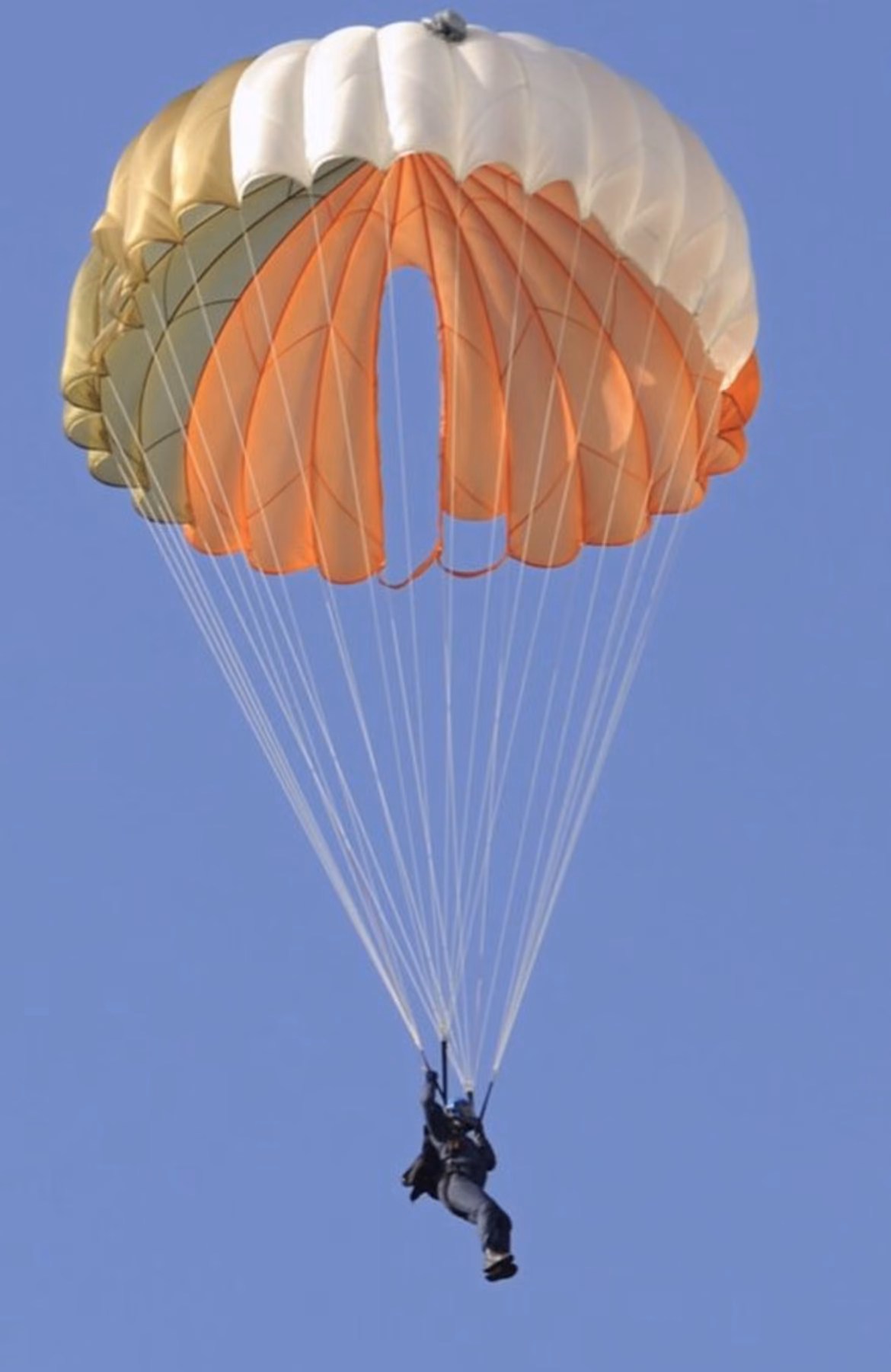 3f0384b46e16b6d906cb087879b61499.avif