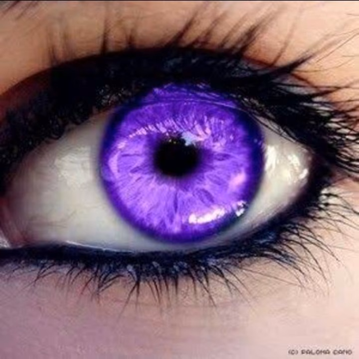 3f12e64631702acd4b242af81a3bce63.avif