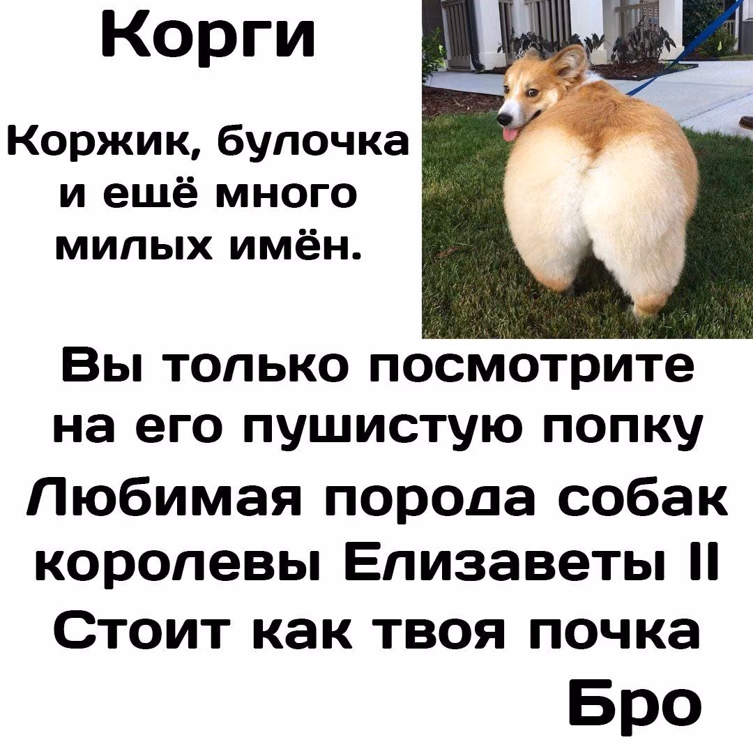 3f1a9b30465bc506cd911cfd9fafe015.jpg