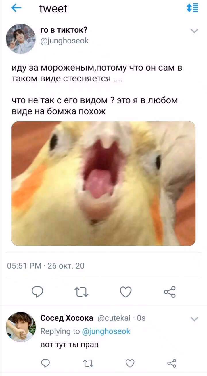 3f372089203f32f957d11c29f08294a2.avif
