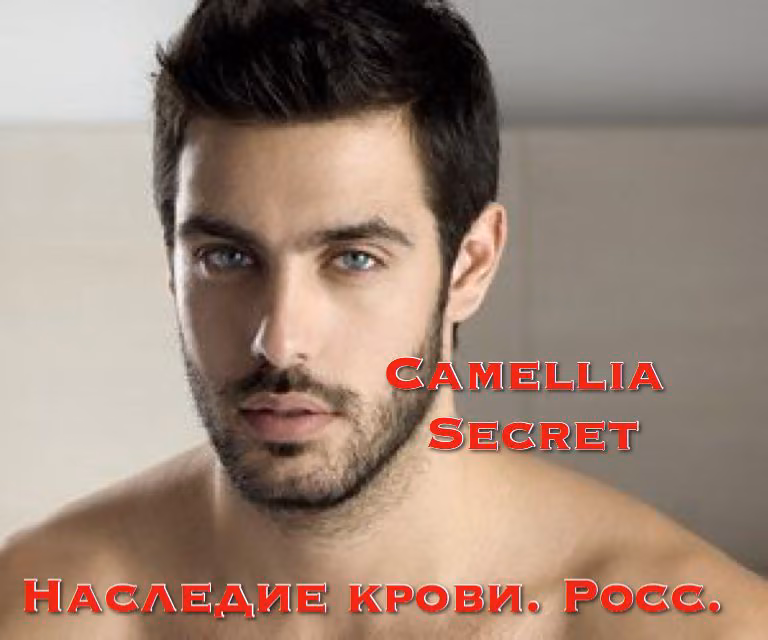 3f3b9344cdcbbe8dcb1ef3c9084aa30e.avif