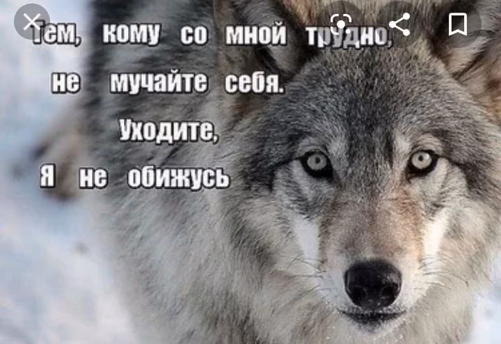 3f51316ab83e38c202832f1ed0df774e.avif