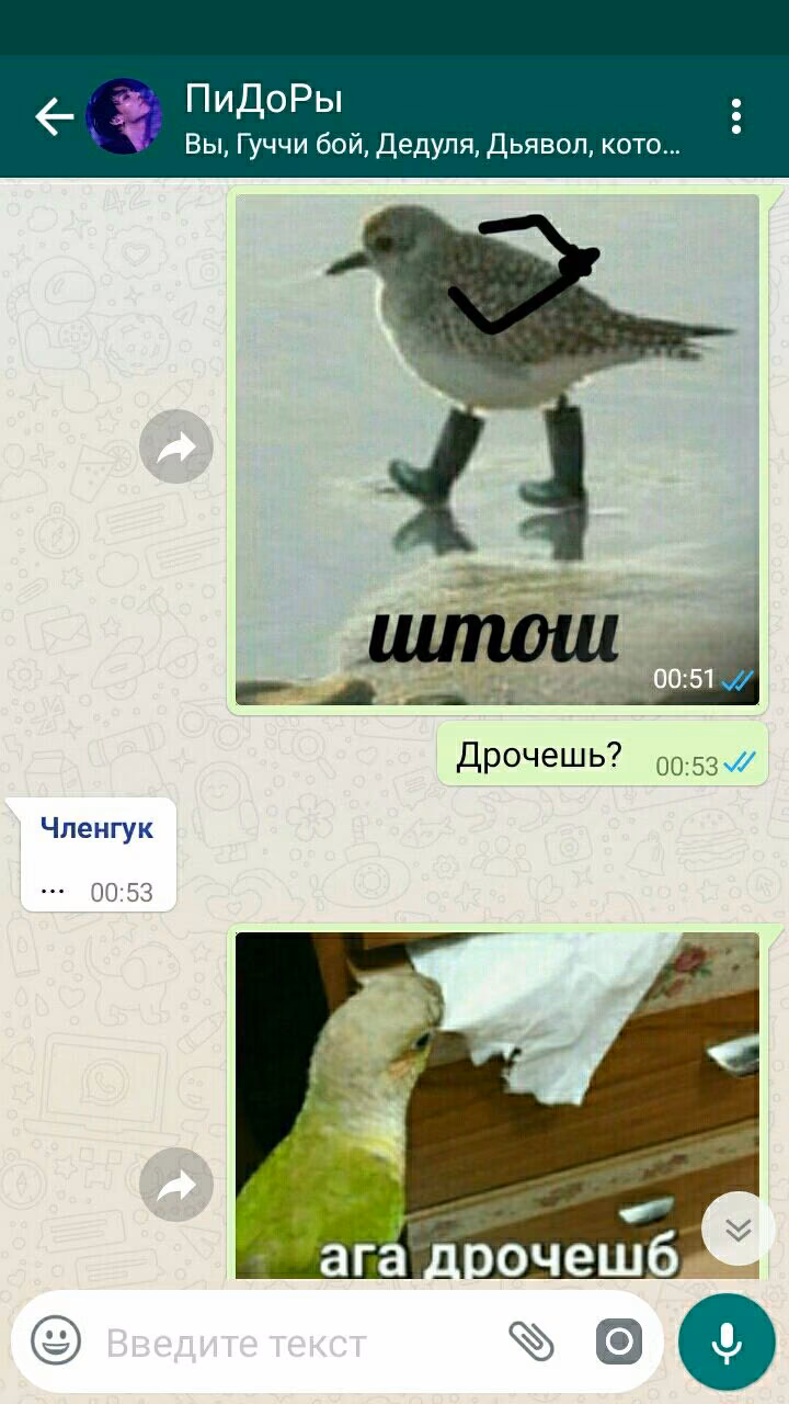 3f68af344bfc5dd69fa8b7e5bcdd5ee4.avif