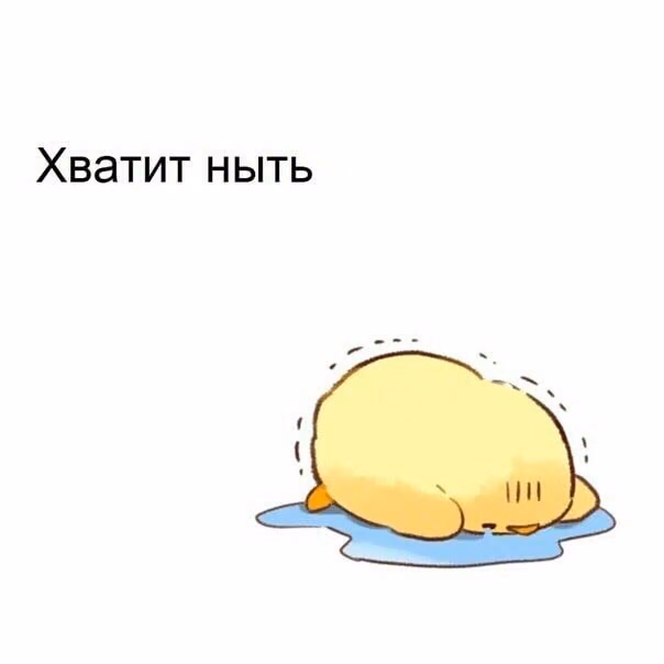3f6a4be8e8fe03965f2021b229d2557e.jpg