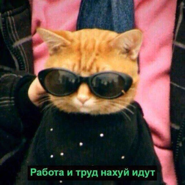 3f6e97e3ccca36d81f15fc501dfe098a.jpg