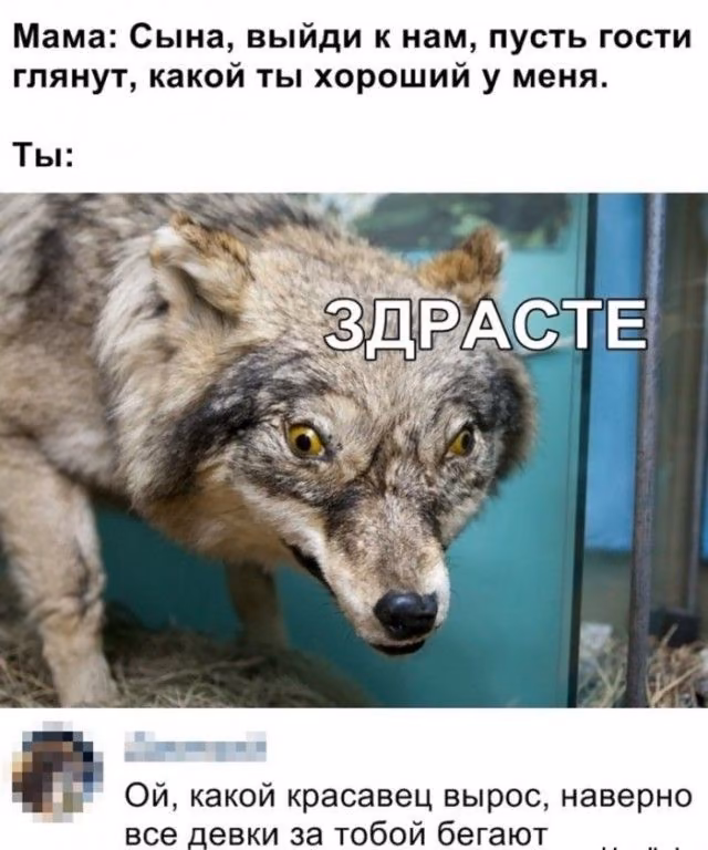 3f84f73f155cb2440c0a37018bb7adfb.jpg
