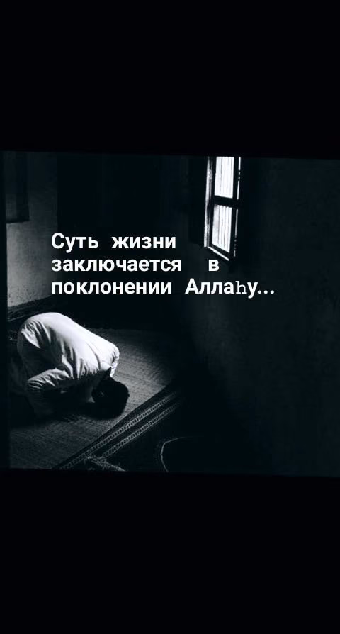 3f8bd255e87d2852316afe10a4d1a9b6.jpg