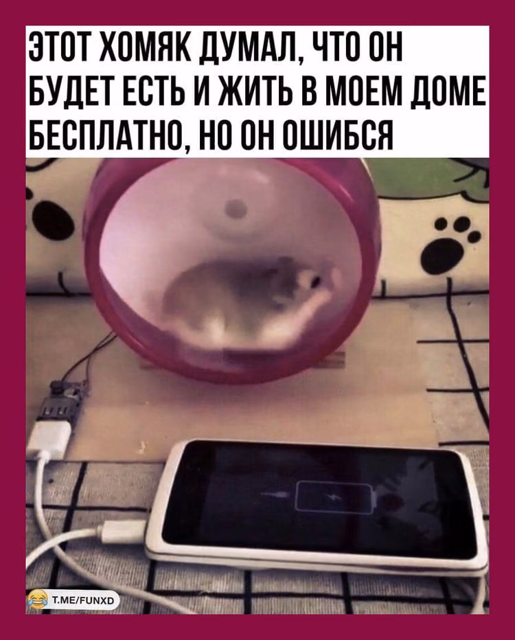 3f9963bfec0438a5e1a54610aa0b8263.jpg
