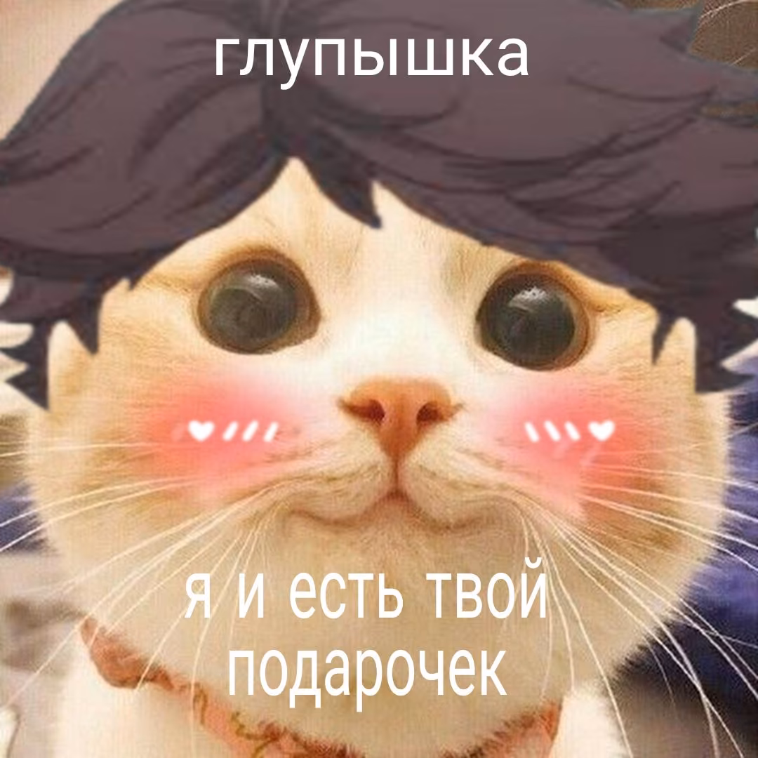 3fa489b5f860e10509d7b702ad36c0d0.avif