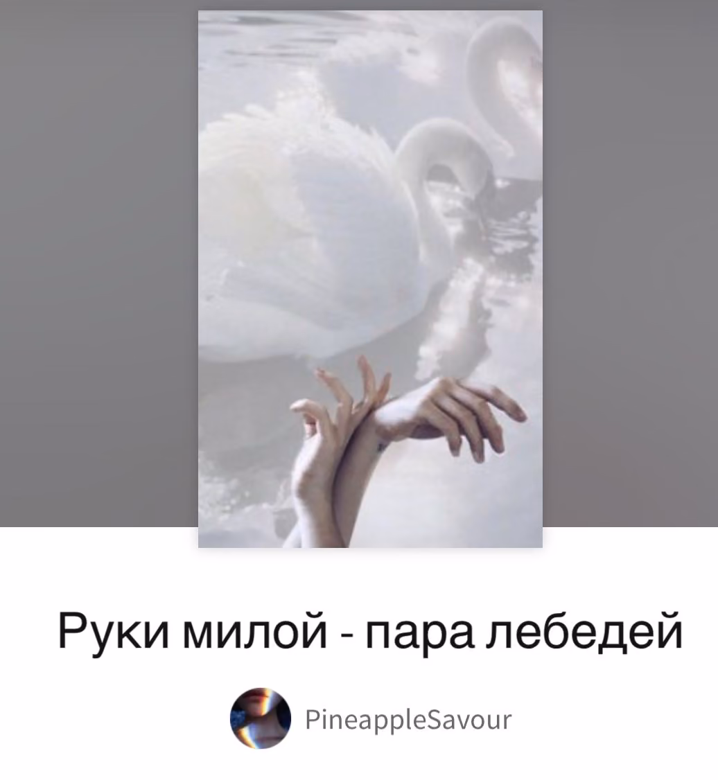 3fb575baa44e72ea1eaf5766b8060024.avif