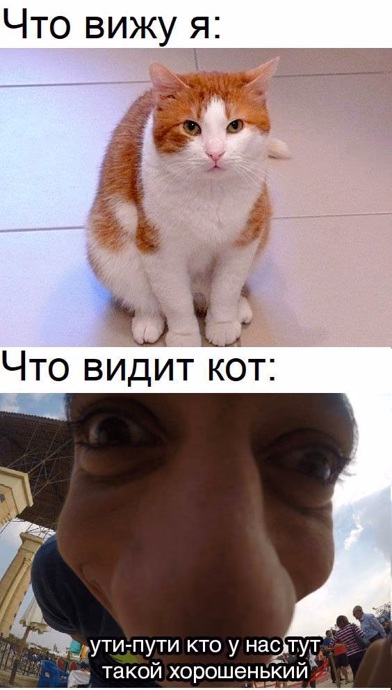 3fc1fe6e795c47e7657bfce262430110.jpg