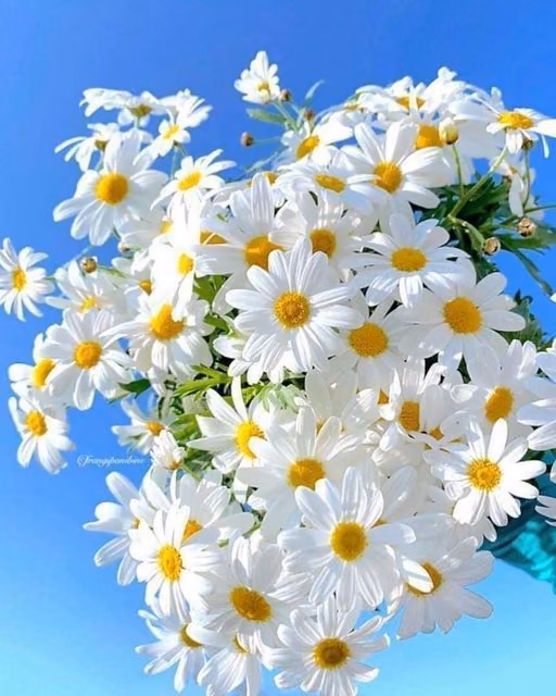 3fcd03361b9a1f36076b4fadabc9bba9.avif