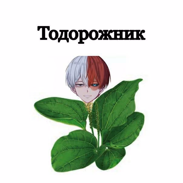 3fd6e2fc3f2ea64e21121f021f7e9cbd.avif
