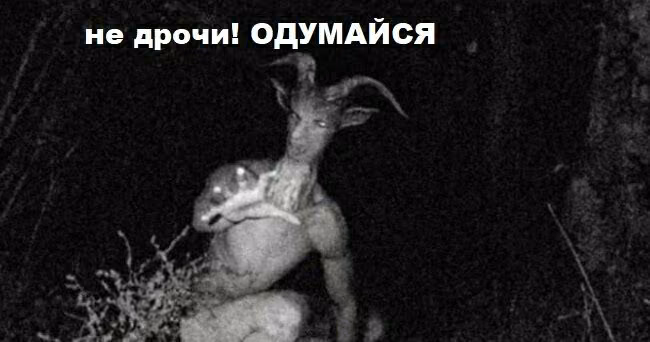 3fda5c1a9b82444d86da3a886dd79206.avif