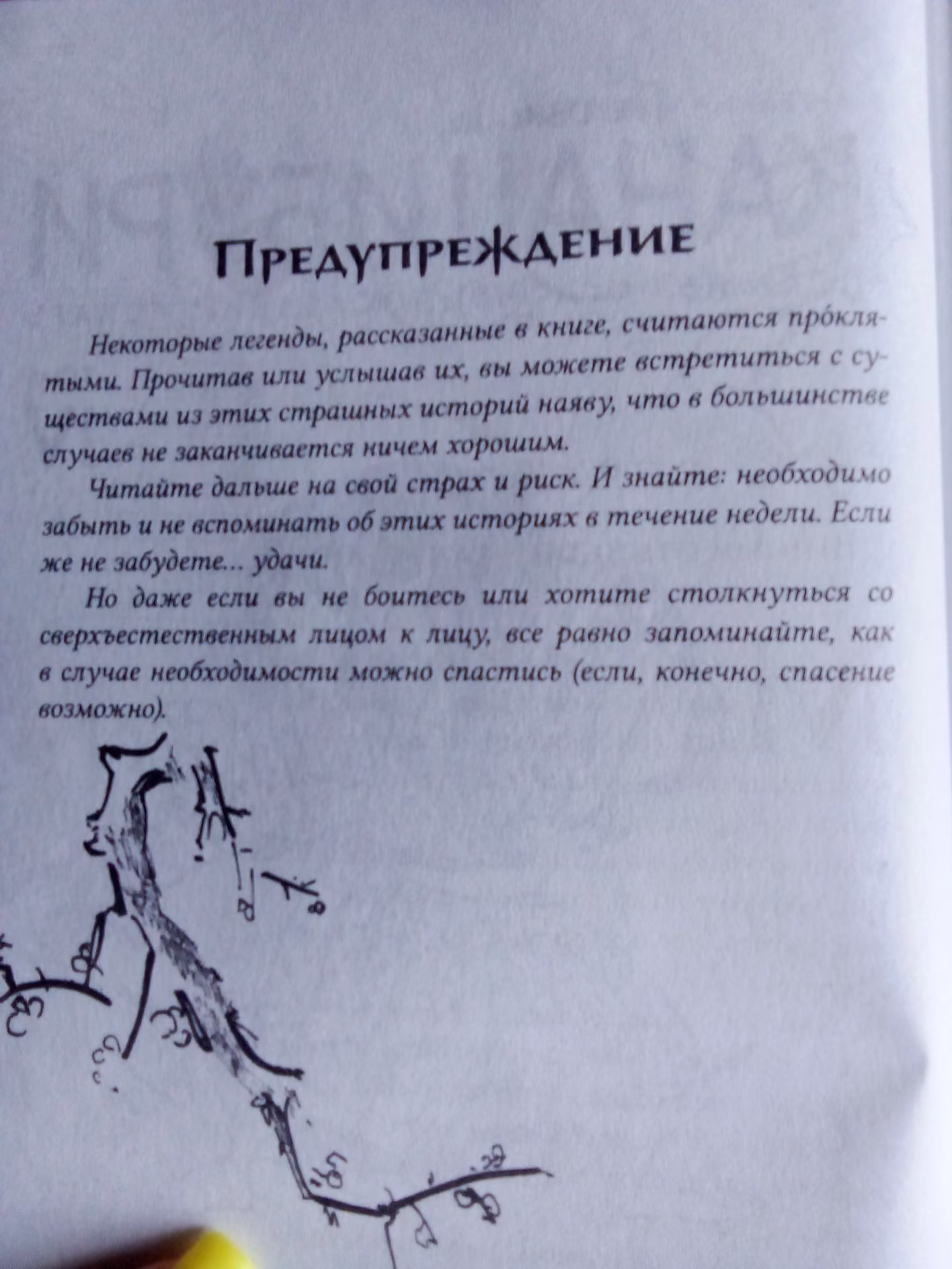 3fdca163be635562f319eb3df7012ead.jpg