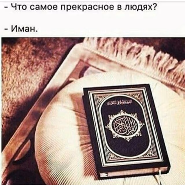 3fe067cb149dbada8e617950e78e6c79.jpg