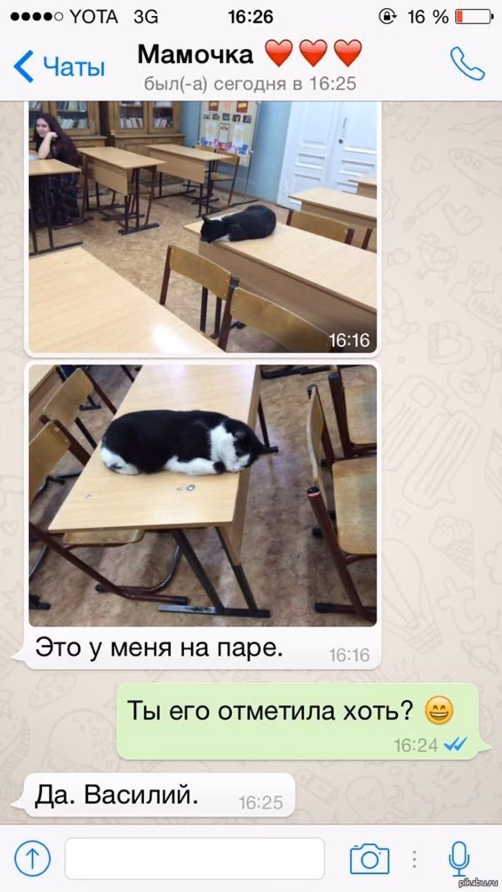 3fe2a240988c114357ad73d71e90f928.avif