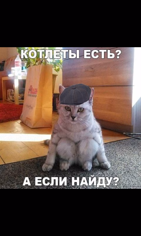 3fed33f469711471f143fd65f948c05b.avif