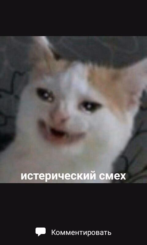 3ff650dac0d8b7b5e9fadd10ecdf3b3e.jpg