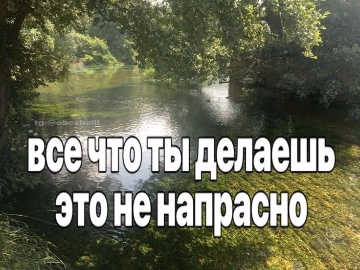 40101802e4e6999da60a1105daa353f3.avif