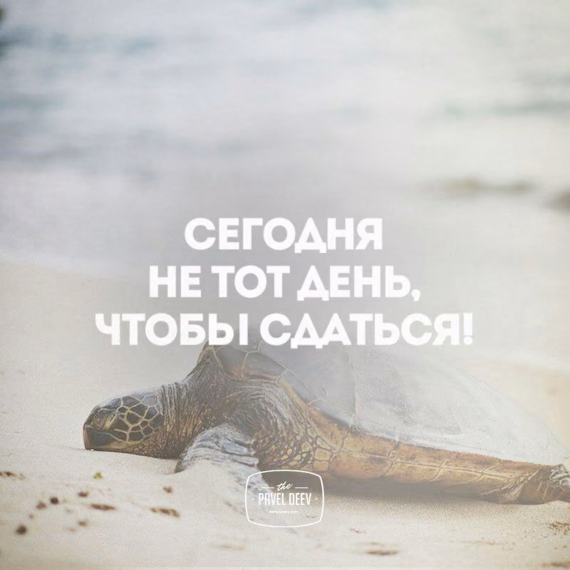 4013b919b1ca92196c24768bf8e94be7.jpg