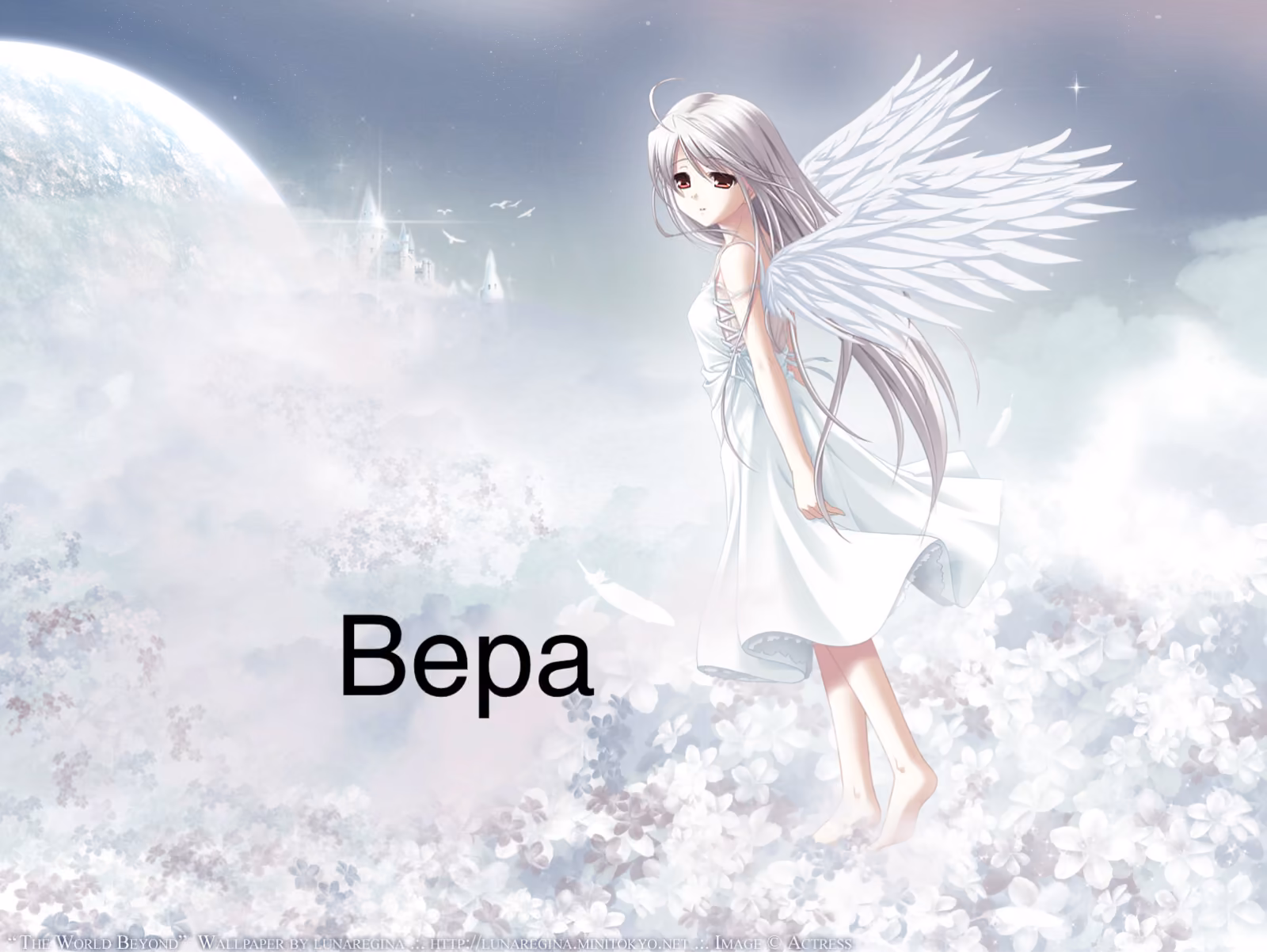 40273264f73292753cf5da9ec17fc775.avif