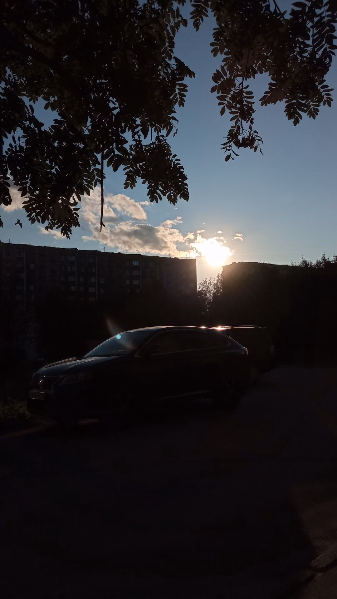 4027edc9e64c851fae9829b95d388d80.jpg