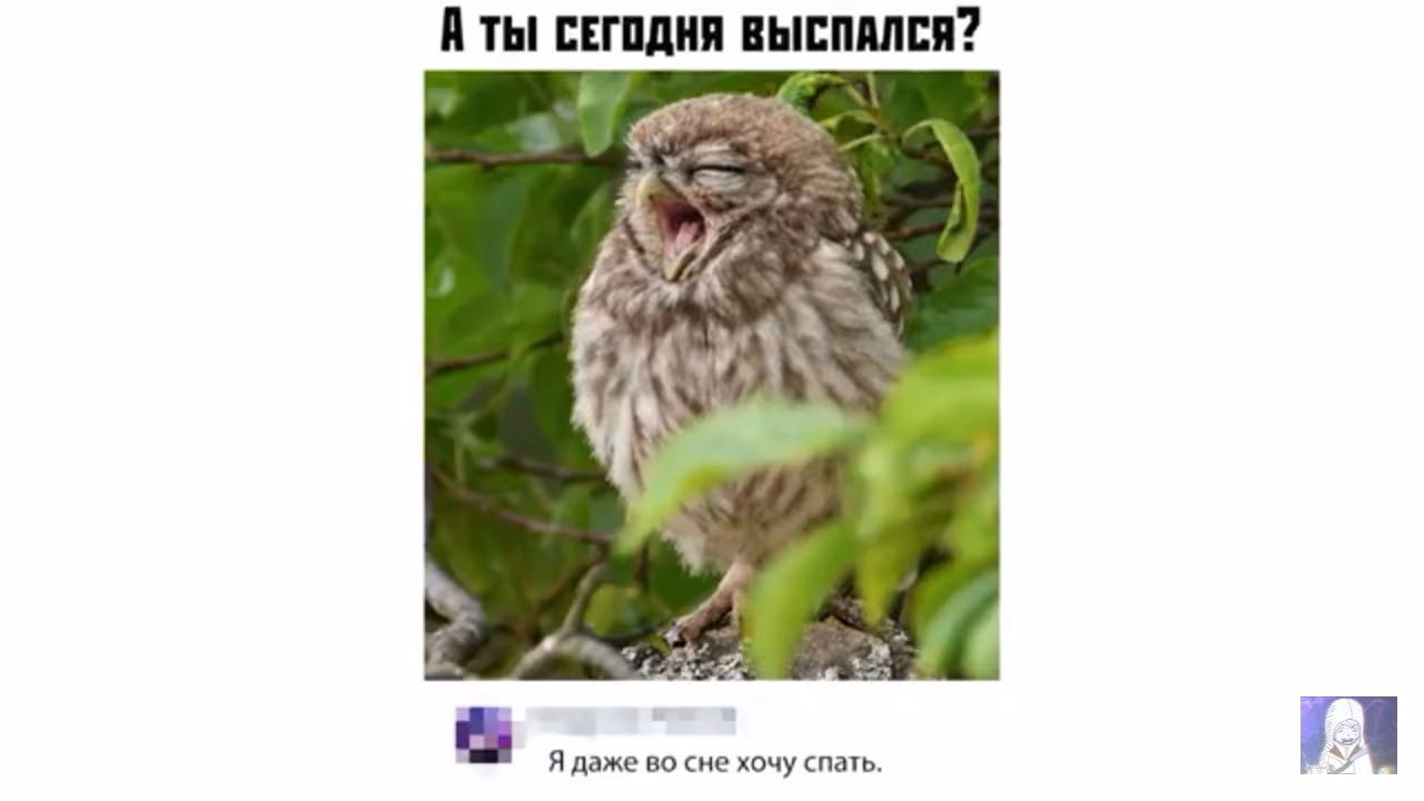 406dc586352c97893123c1c1faa0b38c.jpg
