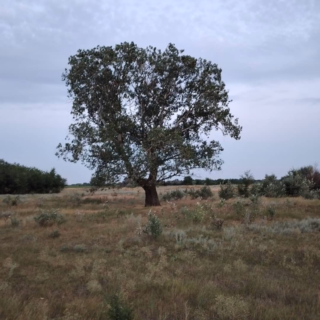 408e650ae1d55761ec4f0d85e125d40e.jpg