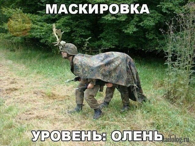 40a25122e33600e6a15998e365412057.jpg