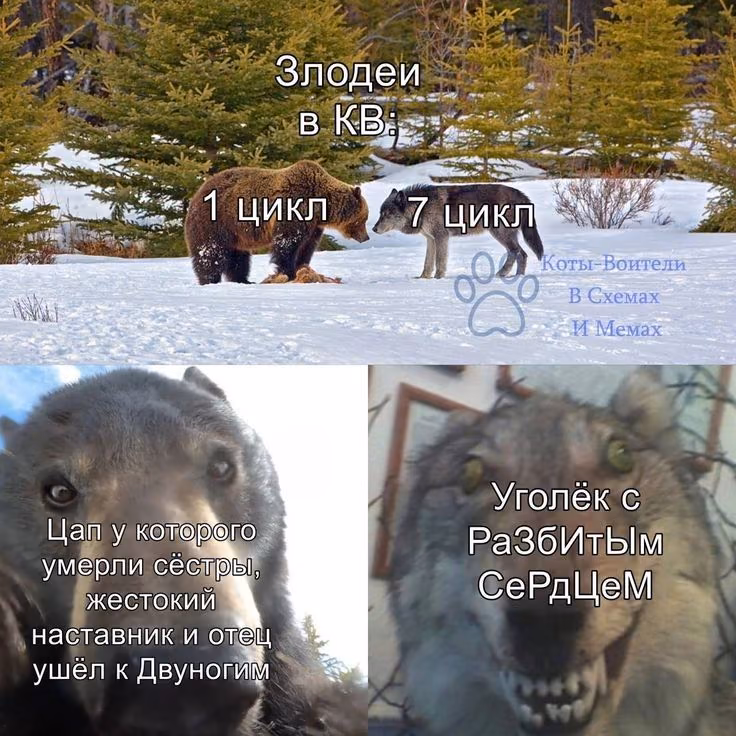 40b6f3e777db0078e8e1daf8a1f4802b.avif
