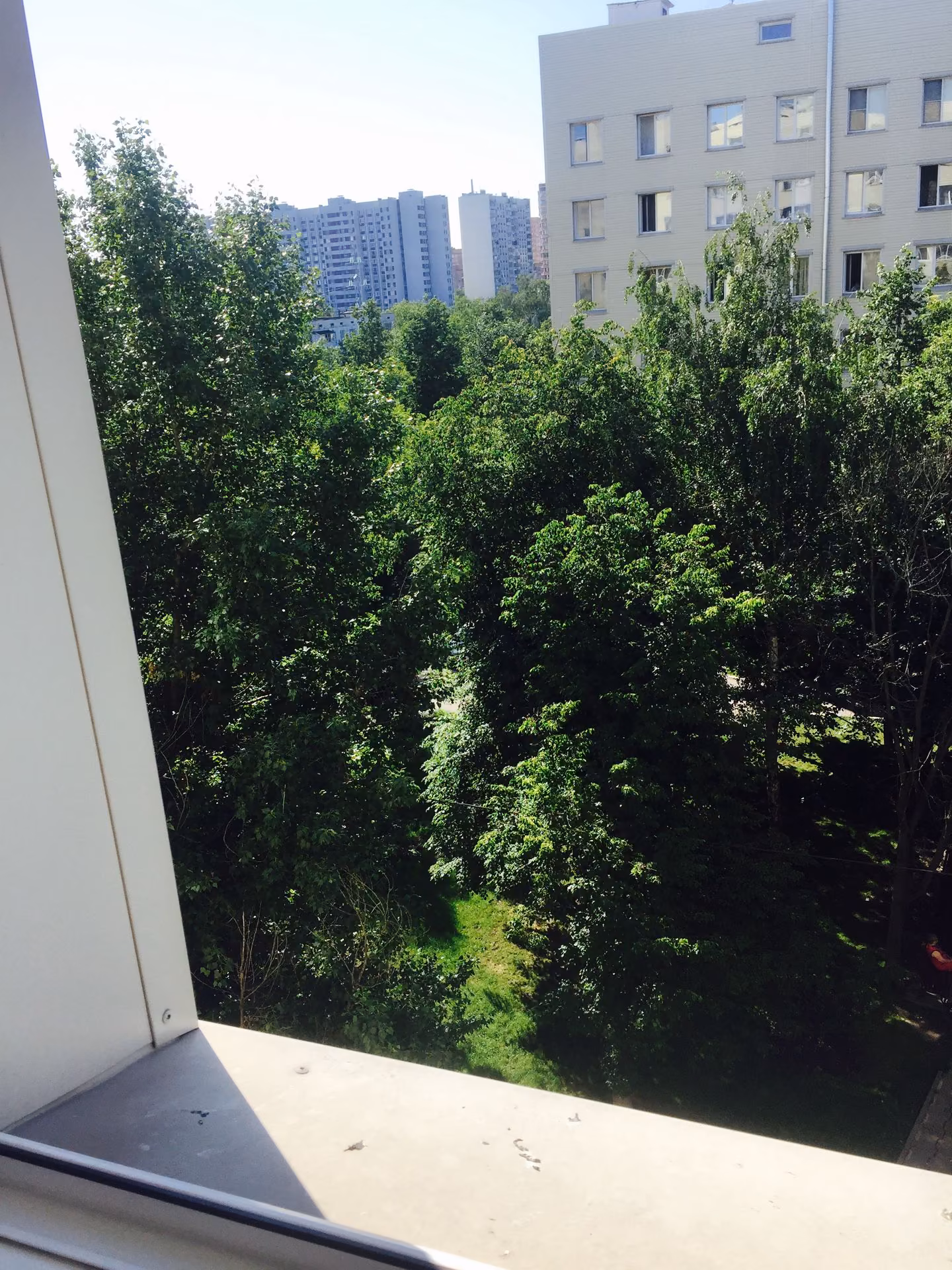 40c4ad8bb7ce560cb872d3e386c5dedc.jpg