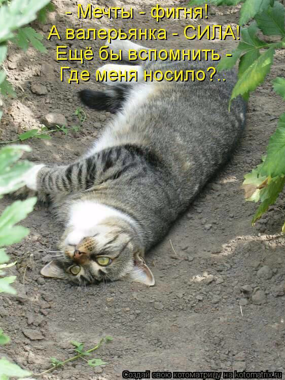 40ddbdc939e52ad7b8e24efb0f265d41.jpg