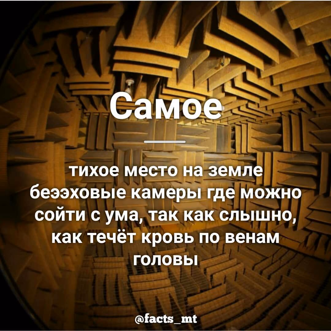 40ee63c645a6b2e326beefac941e5db6.jpg