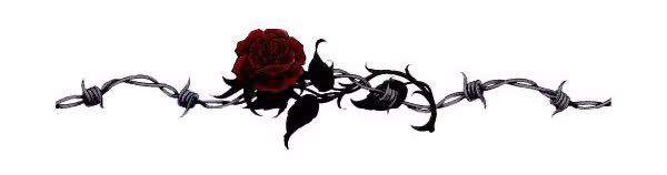 40f1fe42ed2dca22ff9d126429daea5b.avif