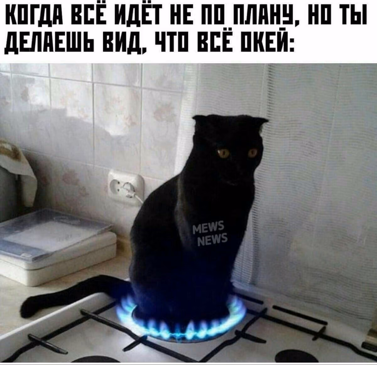 40f72e5c8116d403b6d7f88fadeab0f8.jpg