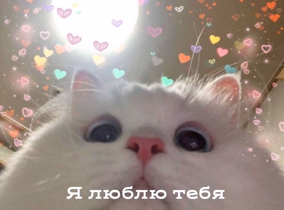 40fbb9147b9787123986c6a99f9f4917.avif