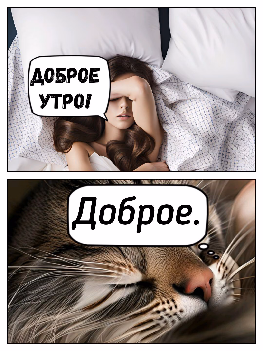 41255b5e46d0e2edc997130d01362b99.jpg