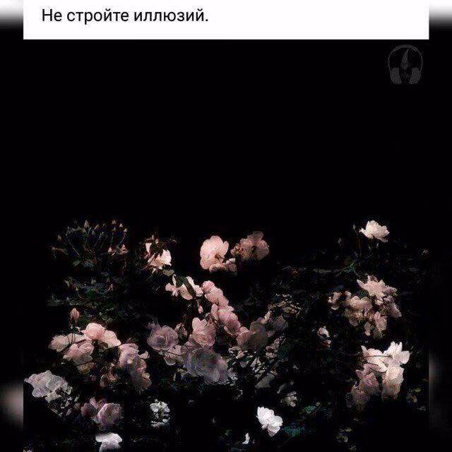 41345746d1a6ffbf73bb9dcd601b873e.jpg