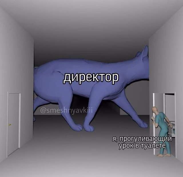 334e733f5324706291eea5bc9513260b.jpg